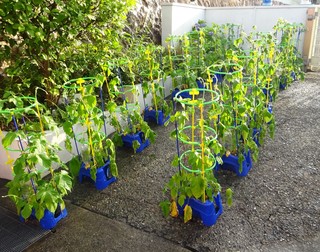 DSC00357.jpg