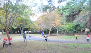DSC00545.jpg