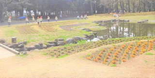 DSC04253.JPG