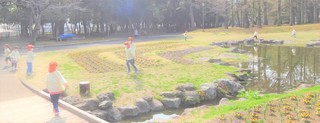DSC04255.JPG