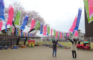DSC05248 (2).jpg