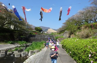 DSC05416.jpg