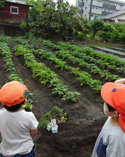 DSC06580.jpg