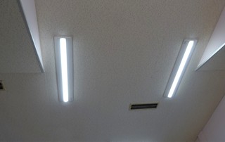 DSC07552.JPG