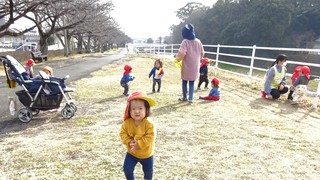 DSC08100.jpg
