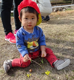 DSC08105.jpg