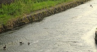 DSC09816.jpg