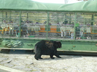 DSCN0013.JPG