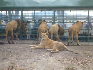 DSCN0018.JPG