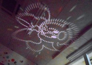 DSCN9722-thumbnail2.jpg