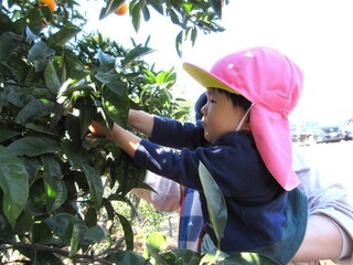 IMG_0115.JPG
